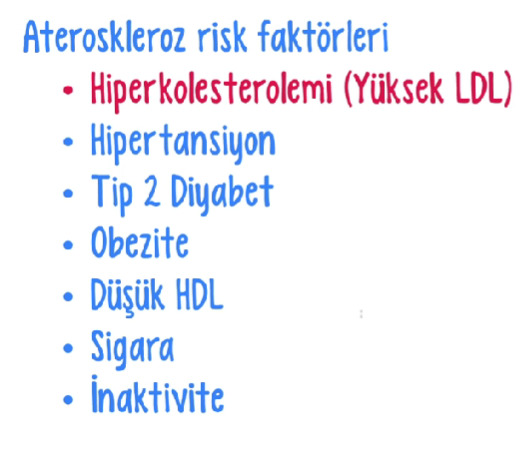 Hayvansal Beslenme ve Zararları (Kırmızı ve Beyaz Et)