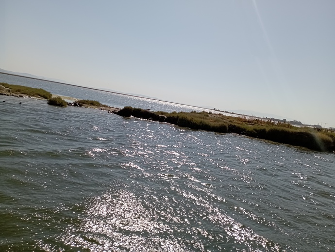 İzmir Flamingo Yolu Tekne Turu