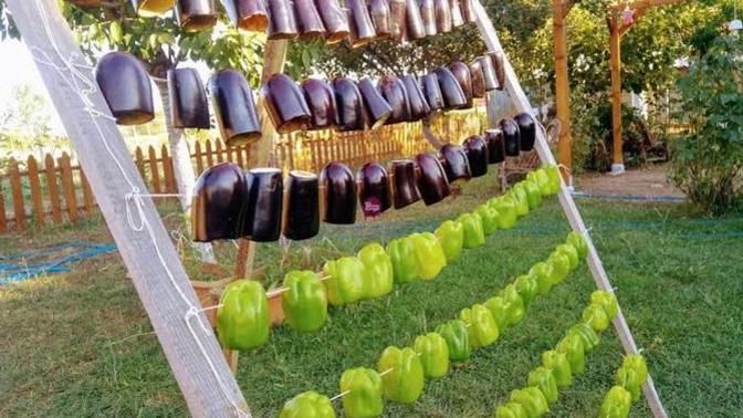 Kışlık Hazırlıkları Başlasın ✌🎉Domates, Biber, Patlıcan Nasıl Kurutulur?