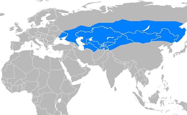 Bugünkü Sınırlarıyla Göktürk Kağanlığı