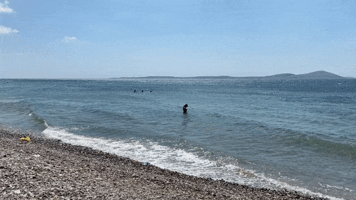 Deniz harika görünüyor. 🌊