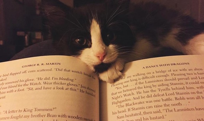 Kitap Okuma Alışkanlığı Kazanmanın Yolunu 4 Madde ile Anlatıyorum