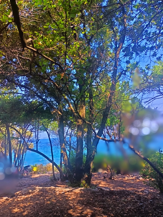 Kuşadası Karasu Koyu 🍃💙