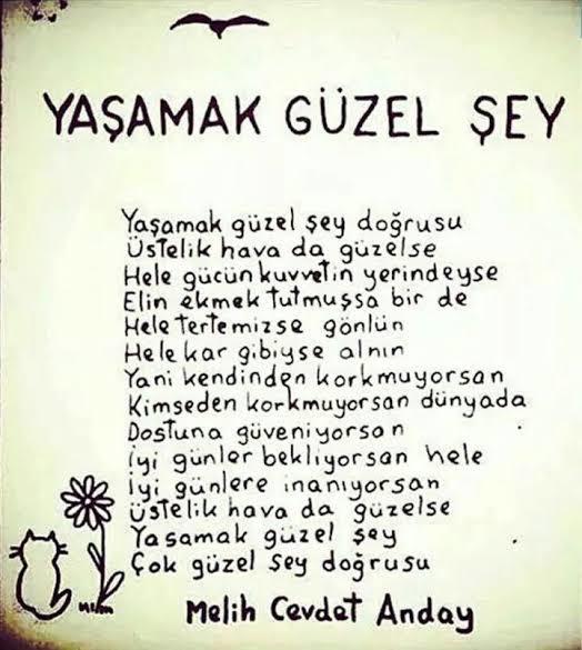 Mutlu Bir İlişkinin Ve Yaşamın Sırlarını Açıklıyorum