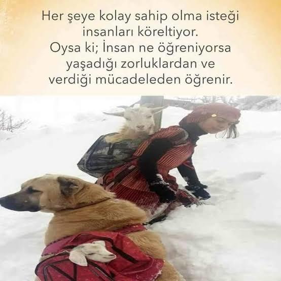 Hayat ve Mücadele