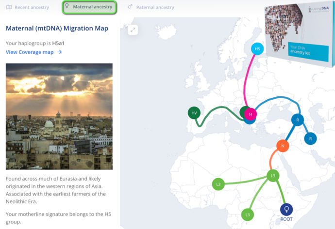 mtDNA Testi İçin Örnek Bir Sonuç