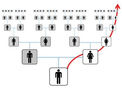 mtDNA Test Şeması