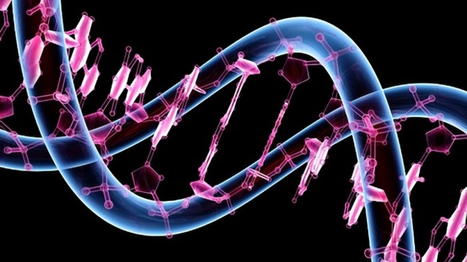 Genetik Testler Hakkında Neler Biliyoruz?