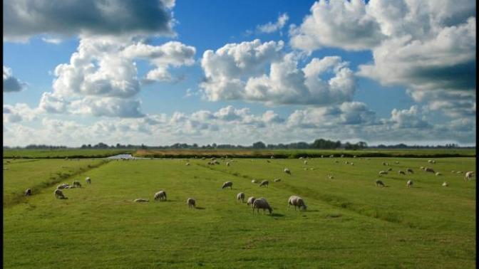 Hollanda: Bir ülke hakkında aklımdan geçenler