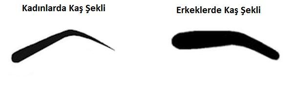 Kadın ve Erkek Yüz Hatları, Maskülen ve Feminen
