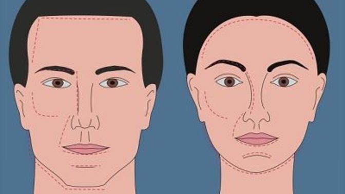 Kadın ve Erkek Yüz Hatları, Maskülen ve Feminen