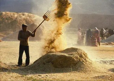 Aşk’ın Yolcuğuna Var Mısınız ya da Yanmayı Göze Alır Mısın?