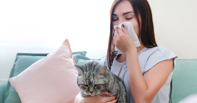 Fırçaları Hazırlayın, Bakım Zamanı! Kedilere Düzenli Bakım Yapmanın 5 Faydası