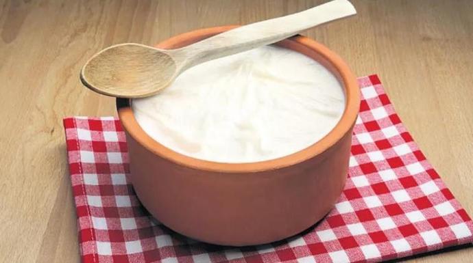 Yoğurt