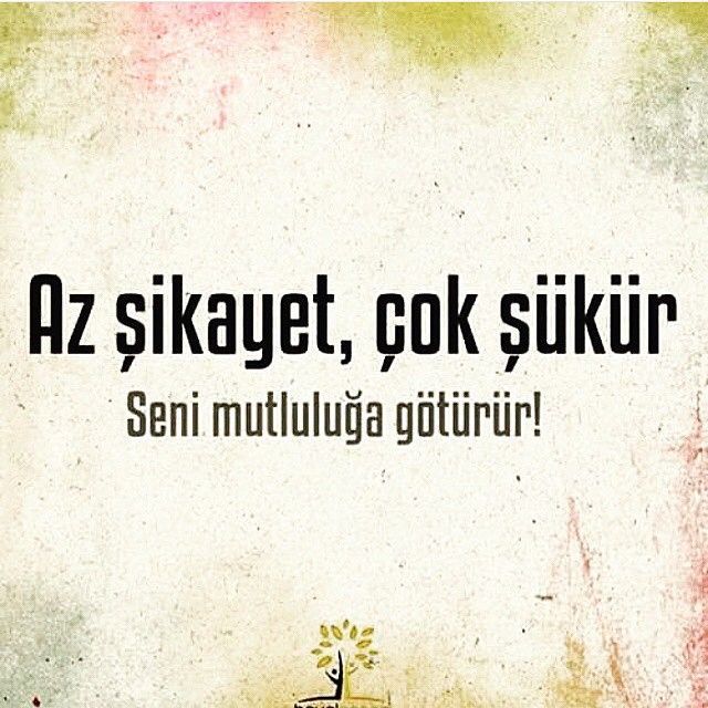 Savunma Mekanizması ve Şikayet Mekanizması