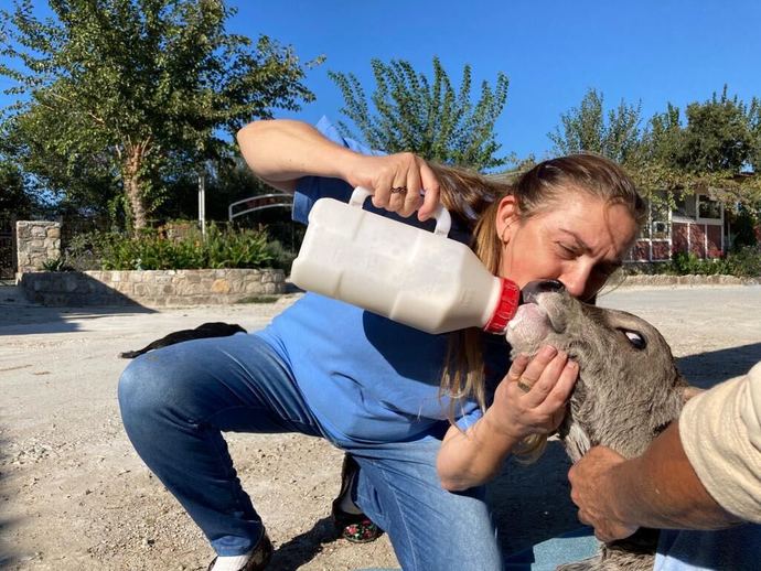 Tarımda Kadın Emeği Girişimcisi Aylin Brimo, Pinero Farm Gümüşlük’ün Kuruluş Hikayesini Anlattı!