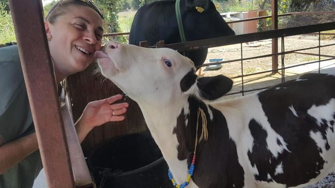 Tarımda Kadın Emeği Girişimcisi Aylin Brimo, Pinero Farm Gümüşlük’ün Kuruluş Hikayesini Anlattı!