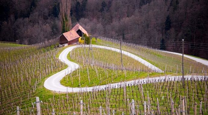 Slovenya - Sevgini Göster!