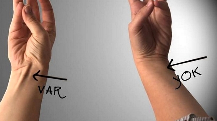 İnsanın Evrimsel Sürecine Kısa Bir Bakış