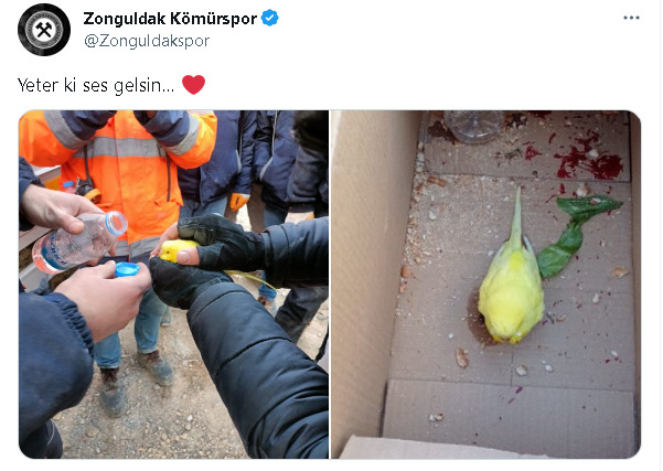 Kahraman Madenciler, Domuzdamı Yöntemiyle Girilmez Denen Yerlerde Can Kurtarıyorlar. Madencilerin Hakkını Nasıl Ödeyeceğiz?