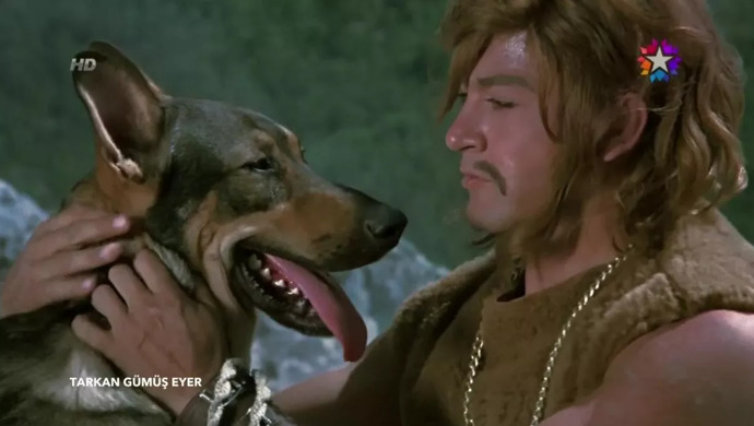 Kurtlar Köpeklerin Atası Mıdır? En Kısa Hâliyle Köpeğin Evrimsel Süreci ve İnsan Hayatındaki Önemi