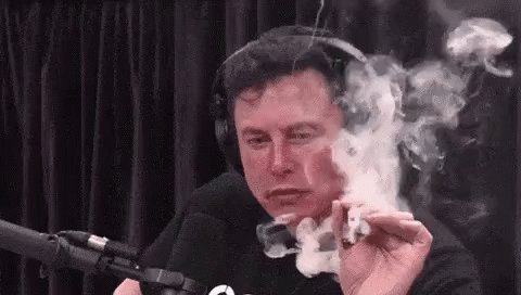 This is elon musk