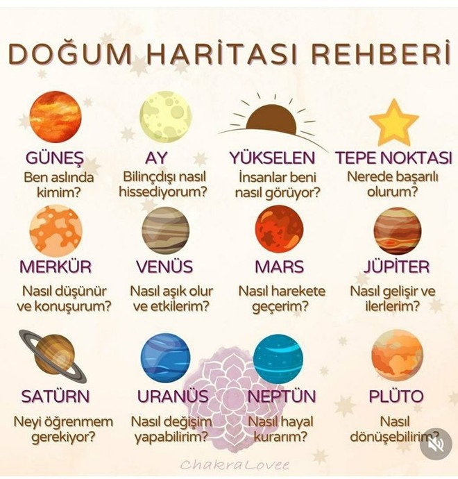 🌍🌍🌍