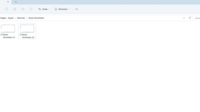 Windows Ekran Görüntüsü Sayacının Hep Artması Sorunu Nasıl Çözülür?