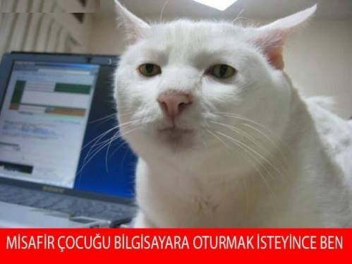 Misafir çocuklarına da sevgiyle yaklaşınız. Ama bu demek değildir ki onları korkutmayın dslkfsşf