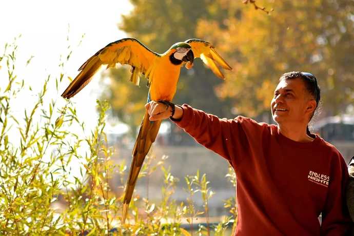 Dr. Ethem Akkol - Ozon Tedavisi Nedir?