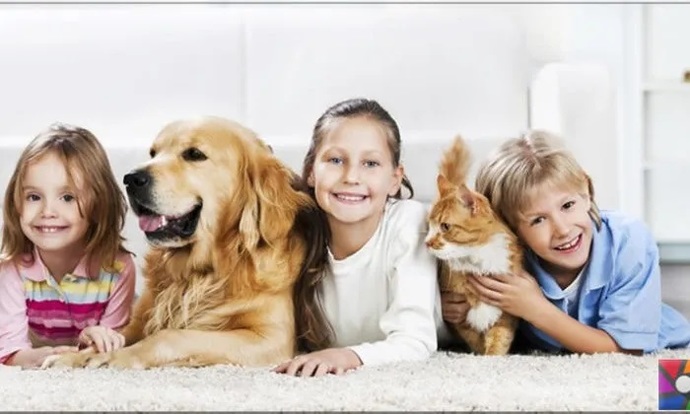 Aile içerisinde hayvanların yeri