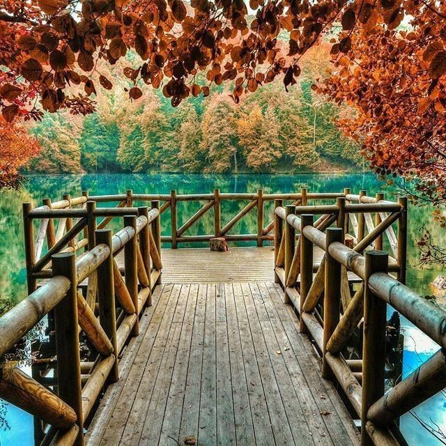 🏞️😇