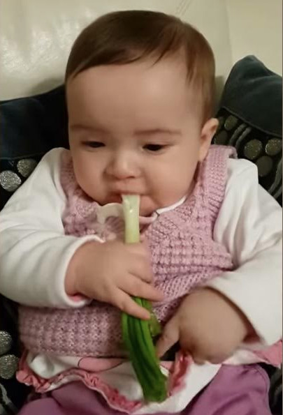 bebeklerde diş çıkarma yeşil soğan