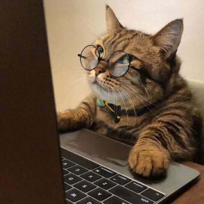 Miyavv miyavv miyavv, hmm okunmaya değer bir benceee!
