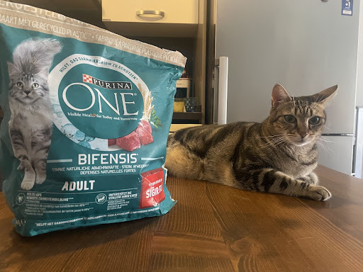 Purina One Bifensis <3 Cücük