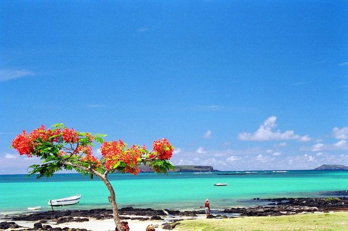 #nirhamm 🔴 🔴 🔴 🔴..