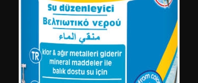 Balıkseverler Buraya! Balıklar İçin Sağlıklı Bir Akvaryum Kurulumunu Gelin Birlikte Öğrenelim!