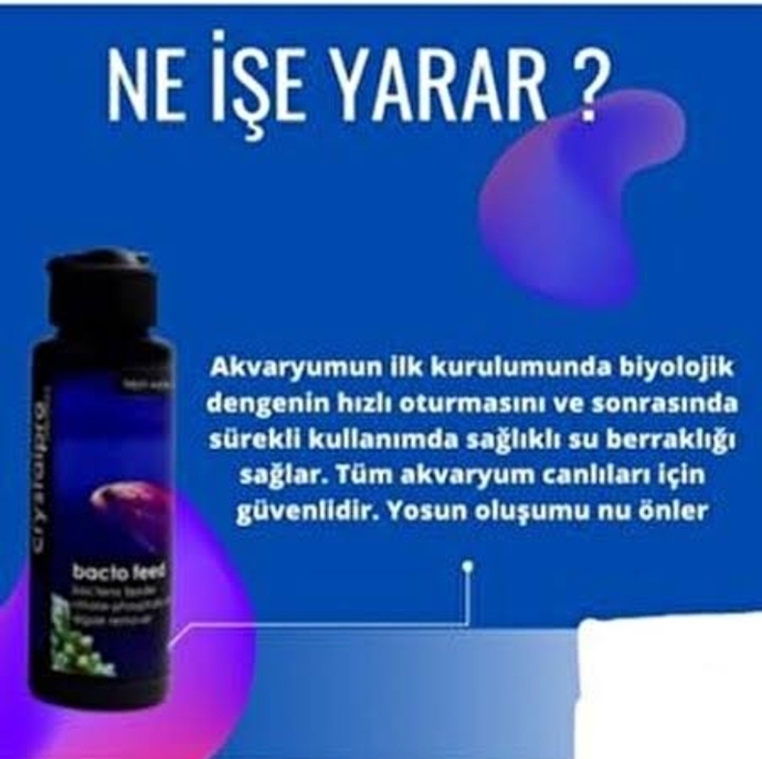 Balıkseverler Buraya! Balıklar İçin Sağlıklı Bir Akvaryum Kurulumunu Gelin Birlikte Öğrenelim!