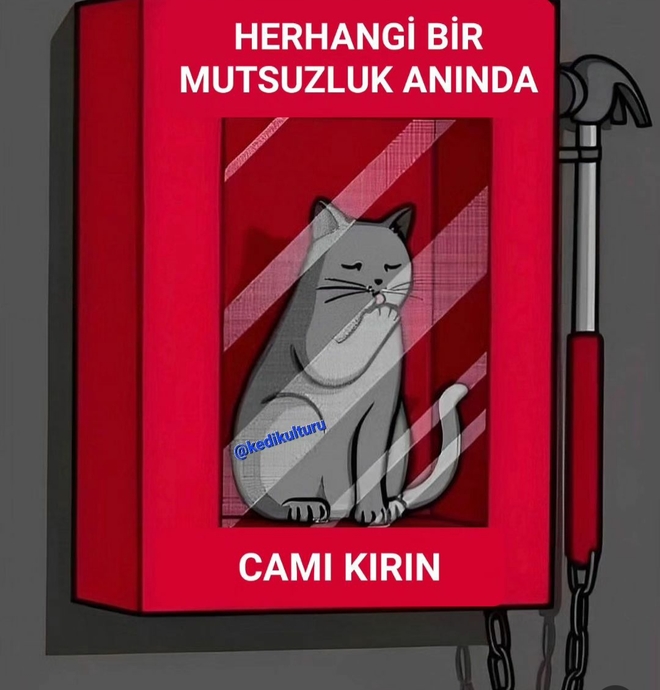Camı kırabilirsiniz no problem