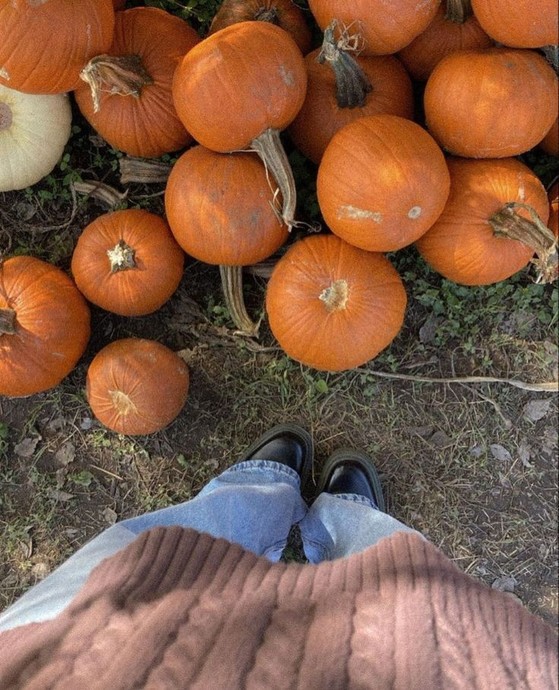 🎃
