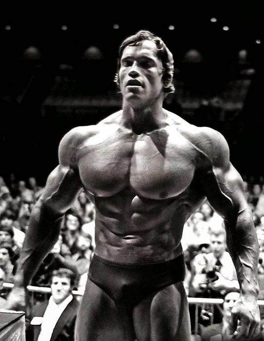 Arnold gibi olmak istiyorsan disiplinli olman lazım.