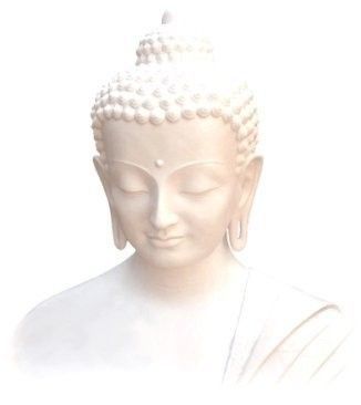 Bilgeliğe Giden 8 Yol: Buddha Kitap Önerisi!