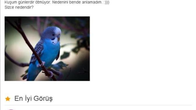 KizlarSoruyor'da Sorulan En Komik Sorular