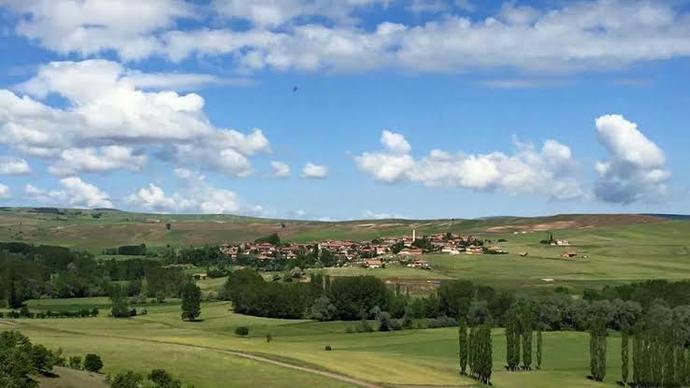 1 Türkü 1 Hikaye Çamlığın Başında Tüter Bir Tütün (Ham Meyvayı Kopardılar Dalından)