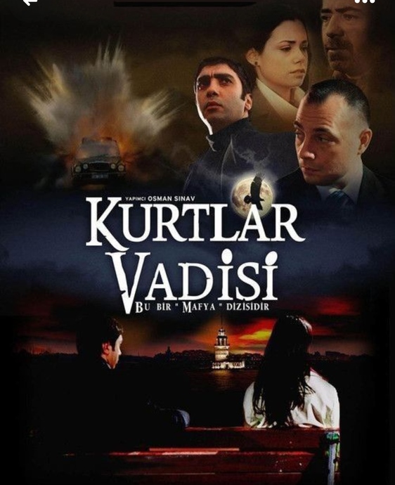 Kurtlar Vadisi Dizisini İnceleyelim