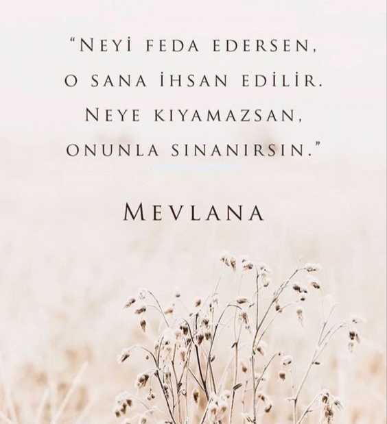 Hayatın Bize Verdiği 4 Önemli Ders