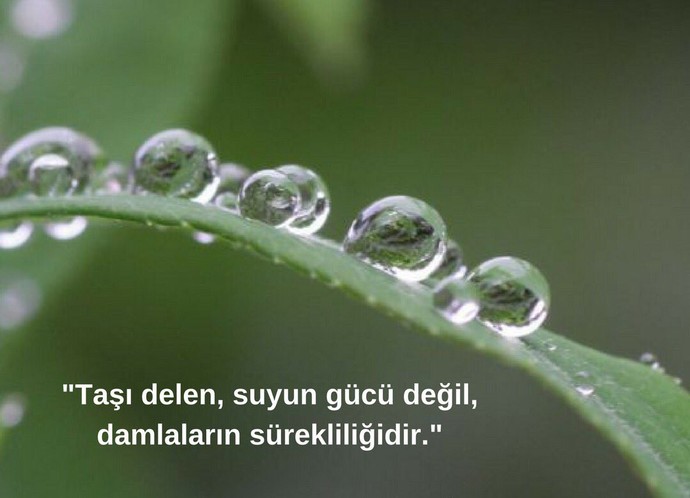 Başarı Her Gün Tekrarlanan Küçük Çabaların Toplamıdır!