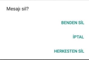 2024te Gelsin Artık Dedirten Üyelerin En Çok İstediği Özellikler🎊!