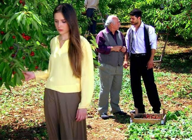 1 Türkü 1 Hikâye Zeytinyağlı Yiyemem Aman