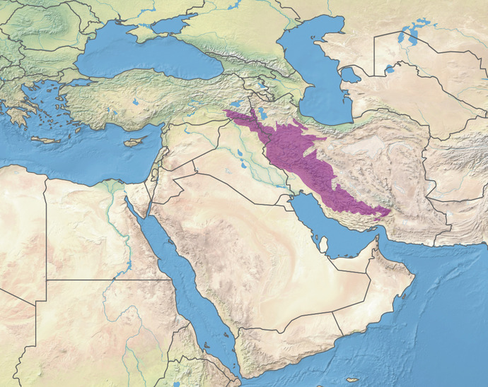 Zagros Dağları ve Uzanış Doğrultusu